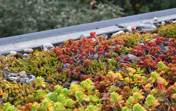 the cost of Lanham Green green roof installation