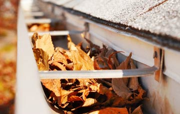 Lanham Green gutter cleaning companies